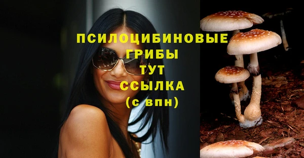 стафф Арсеньев