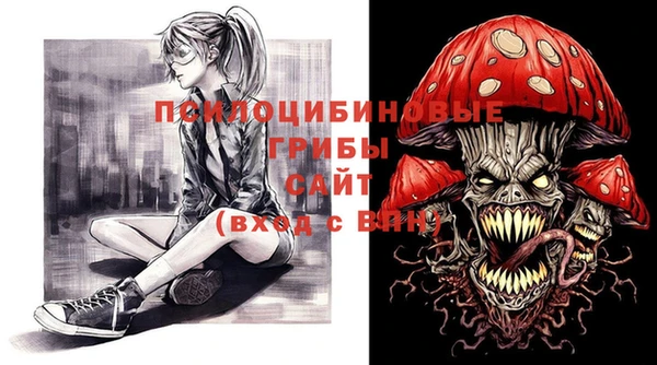 дживик Аркадак