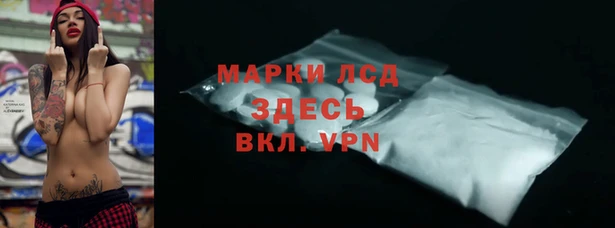 стафф Арсеньев
