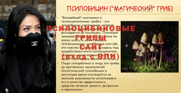 дживик Аркадак