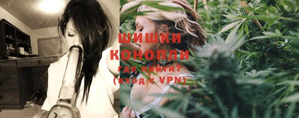 дживик Аркадак
