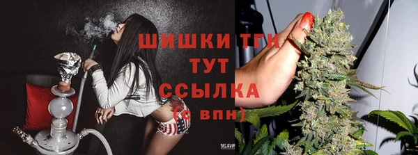 дживик Аркадак