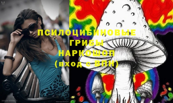 дживик Аркадак