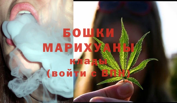 стафф Арсеньев